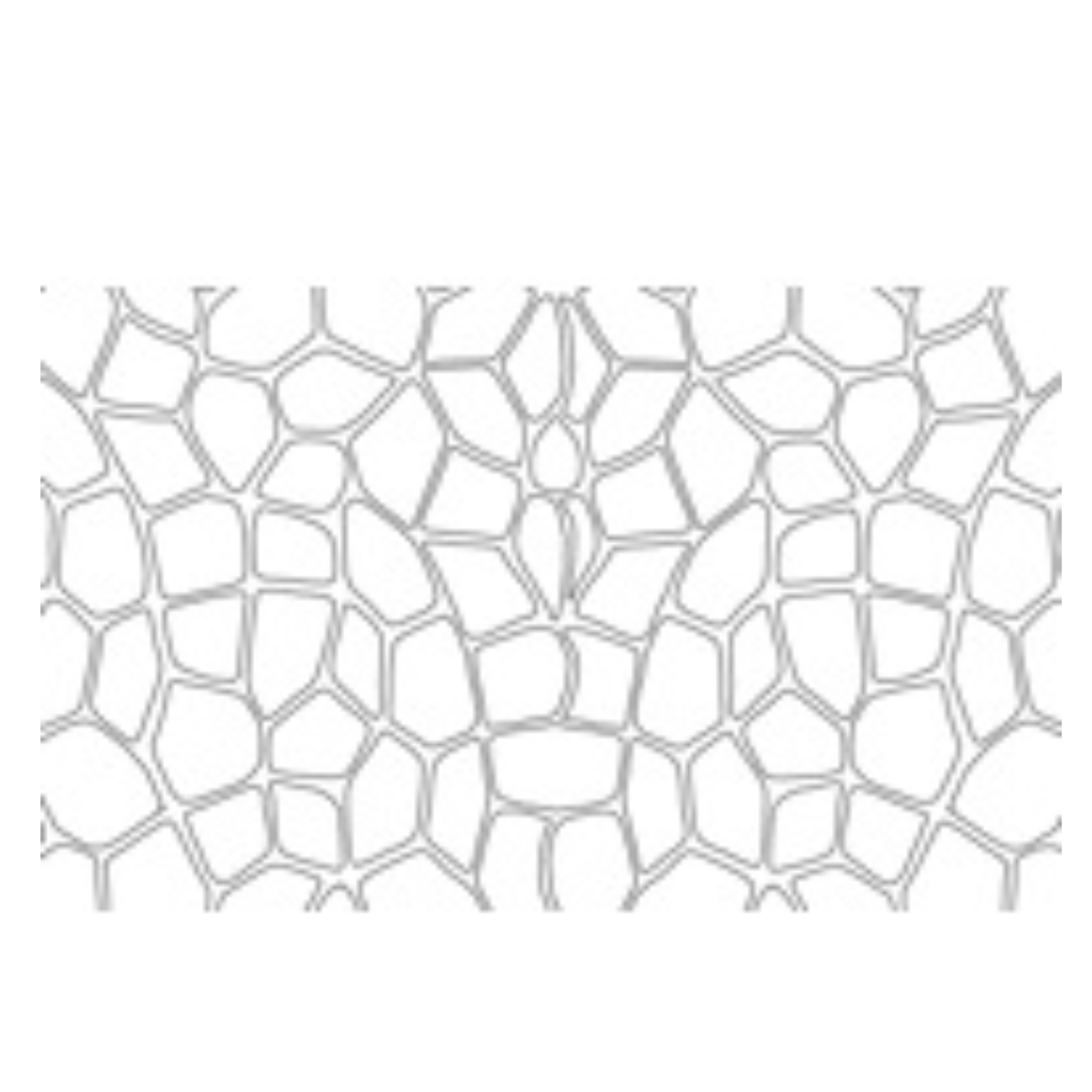 Dulux Avista Flagstone concrete stencil