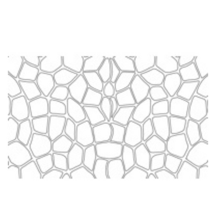 Dulux Avista Flagstone concrete stencil